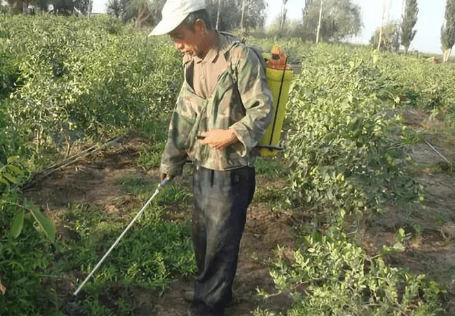 除草劑消泡劑應(yīng)用場(chǎng)景圖